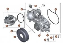 Waterpump & Thermostat