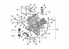 Oil Cooler