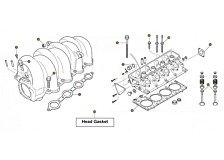 Gaskets & Seals