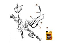Steering Hoses