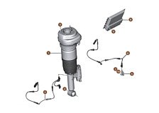 Rear air spring strut