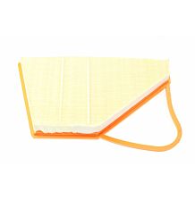 Air filter LH