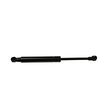 Gas strut