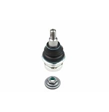 Ball joint lower 