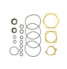 Seal kit steering box