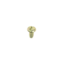 Screw