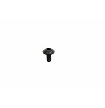 Fillister head bolt