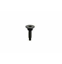 Socket head bolt