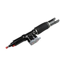 Damper rear LH /RH