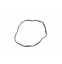 Windscreen seal