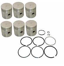 Piston & ring set STD (6pc)