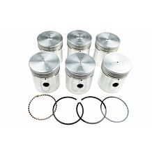 Piston & ring set STD (6pc)