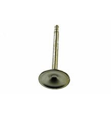 Valve inlet