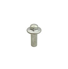 Cap nut lid