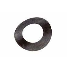 Valve spring