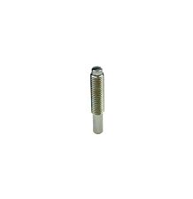 Steady post screw