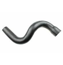 Lower hose radiator