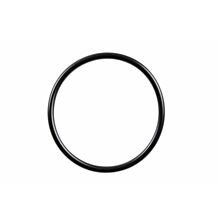 O-ring wheel lock