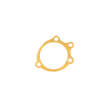 Gasket lower steering box