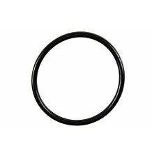O-ring shock rear 