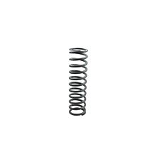 Rear spring