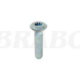 Buy Ball screw (WHT000237-O) at BRABO (EN)