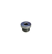 Screw plug with gasket ring
