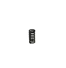 Inner driving spring