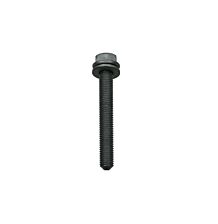 Hexagon flange screw