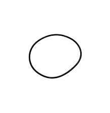 O-ring
