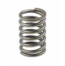 Spring exhaust valve