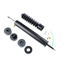 Rear shock absorber kit