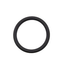 O-ring fuel filter carburettor