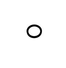 O-ring