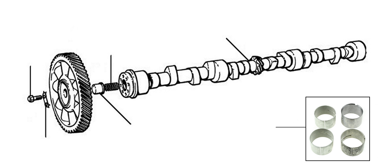 camshaft - Camshaft