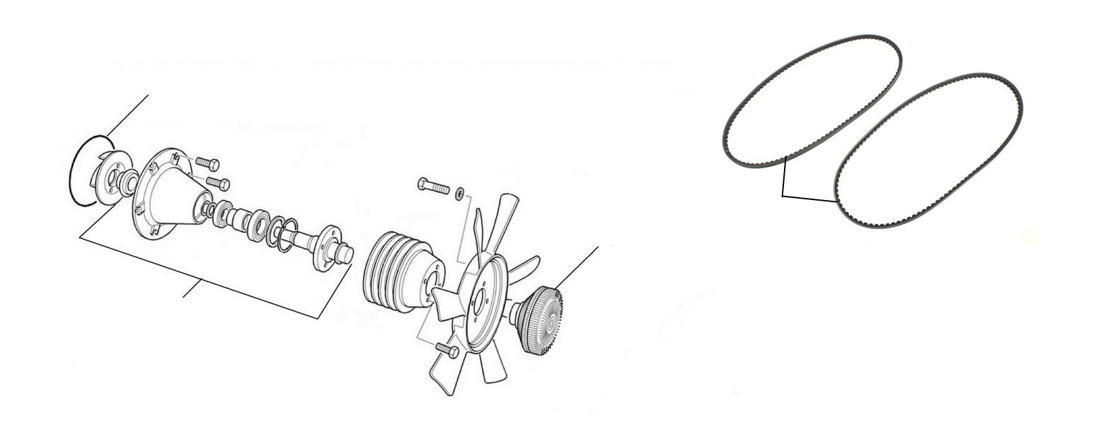 Waterpump & Viscous Coupling - Waterpump & Viscous Coupling